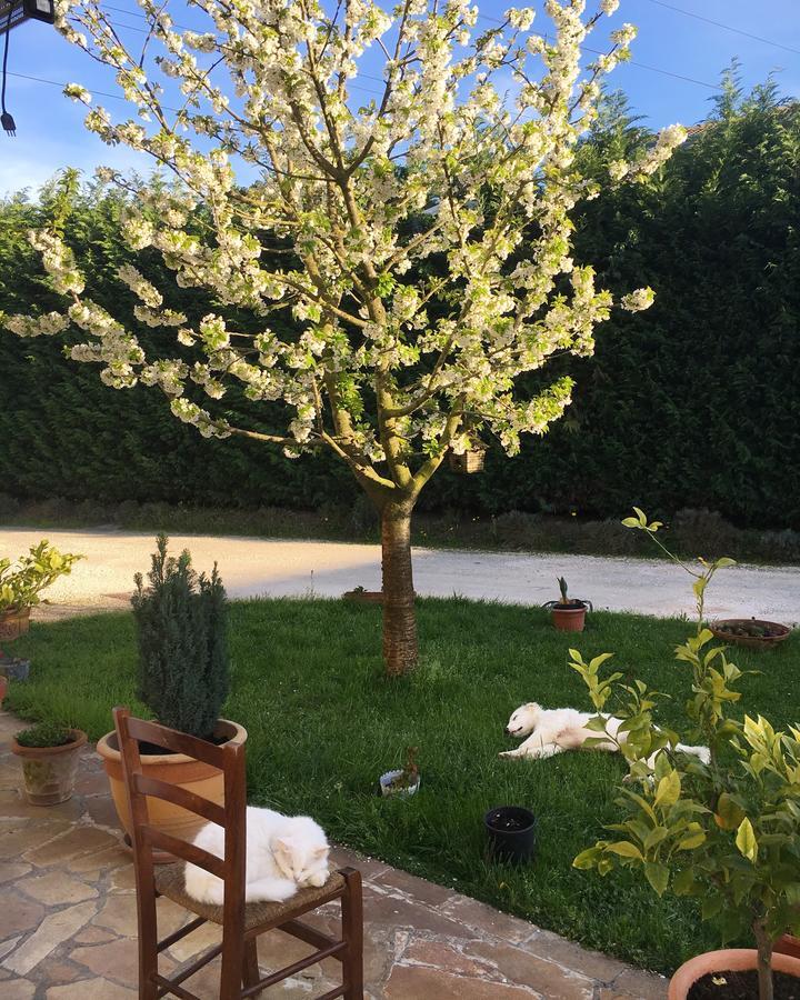 Agriturismo Corte Del Brenta Oriago Di Mira Bagian luar foto